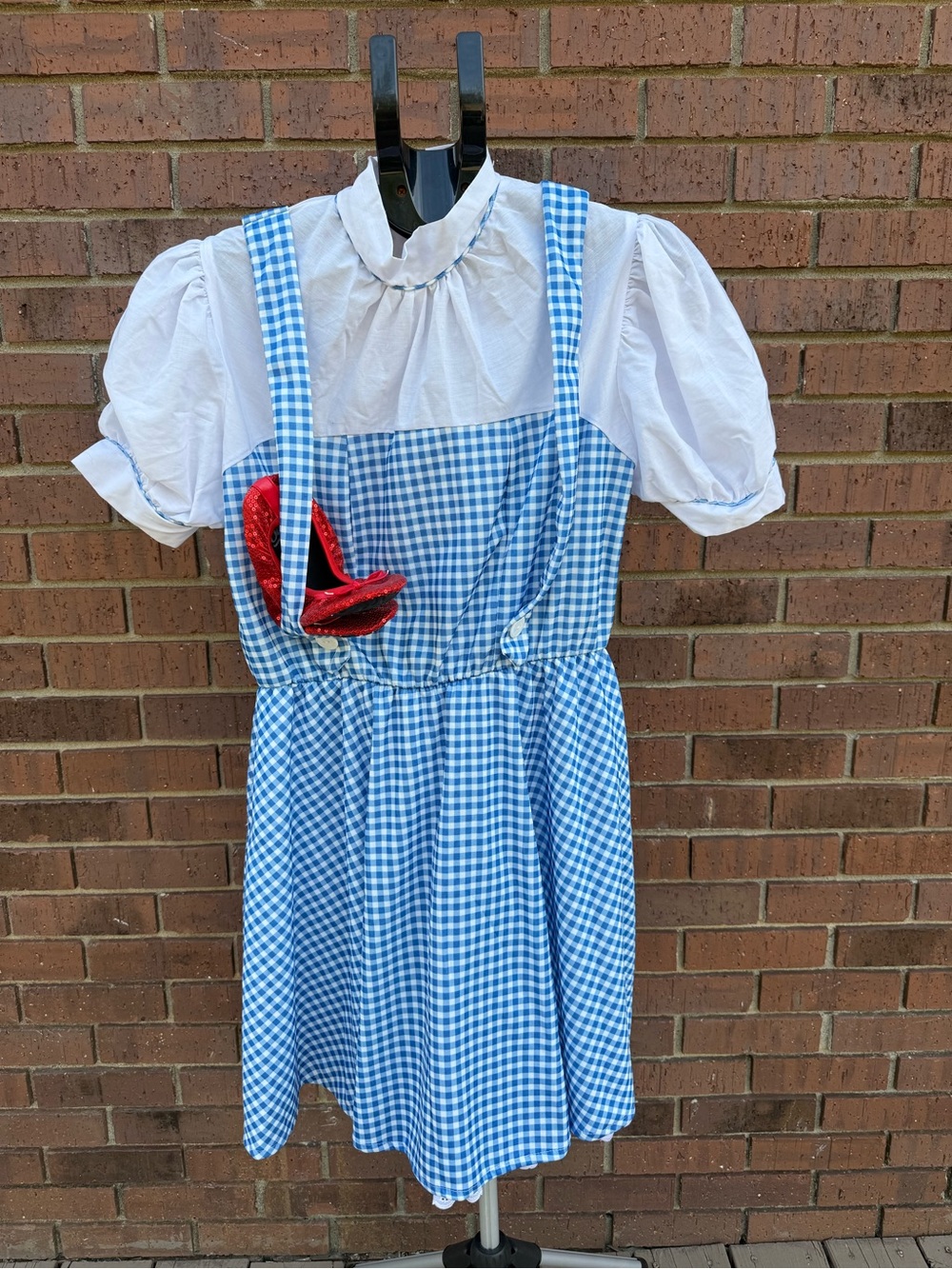 Rubies Adult Dorothy Wizard of Oz Costume Standard Dress & Silky Toes Ruby Shoes